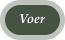 Voer